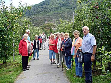 Obstgrten im Matelltal