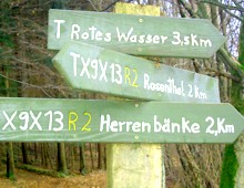 Wegweiser im Burgwald
