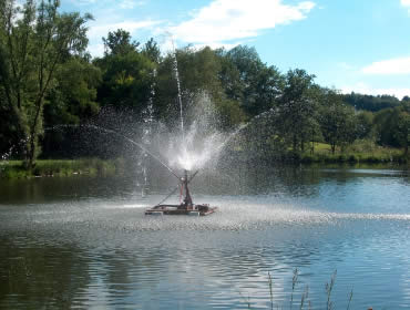 Wasserfont�ne auf dem Seegerteich