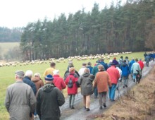 Wanderweg Richtung Rosenthal