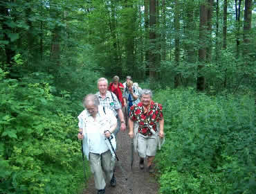 Aufstieg zu den Steinen im NSG