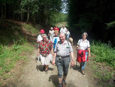 Entlang der -Sommervariante- Rothaarsteig