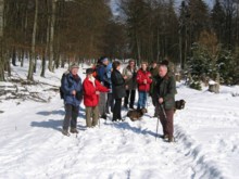 Am Abzweig im Winterwald