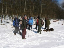 Am Abzweig im Winterwald